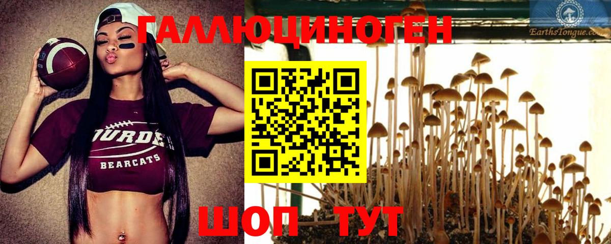 Озёры  Галлюциногенные грибы прущие грибы  Вход с VPN 