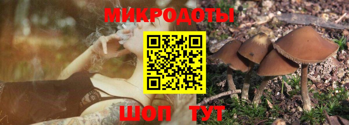 Галлюциногенные грибы ЛСД Озёры